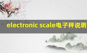 electronic scale电子秤说明书